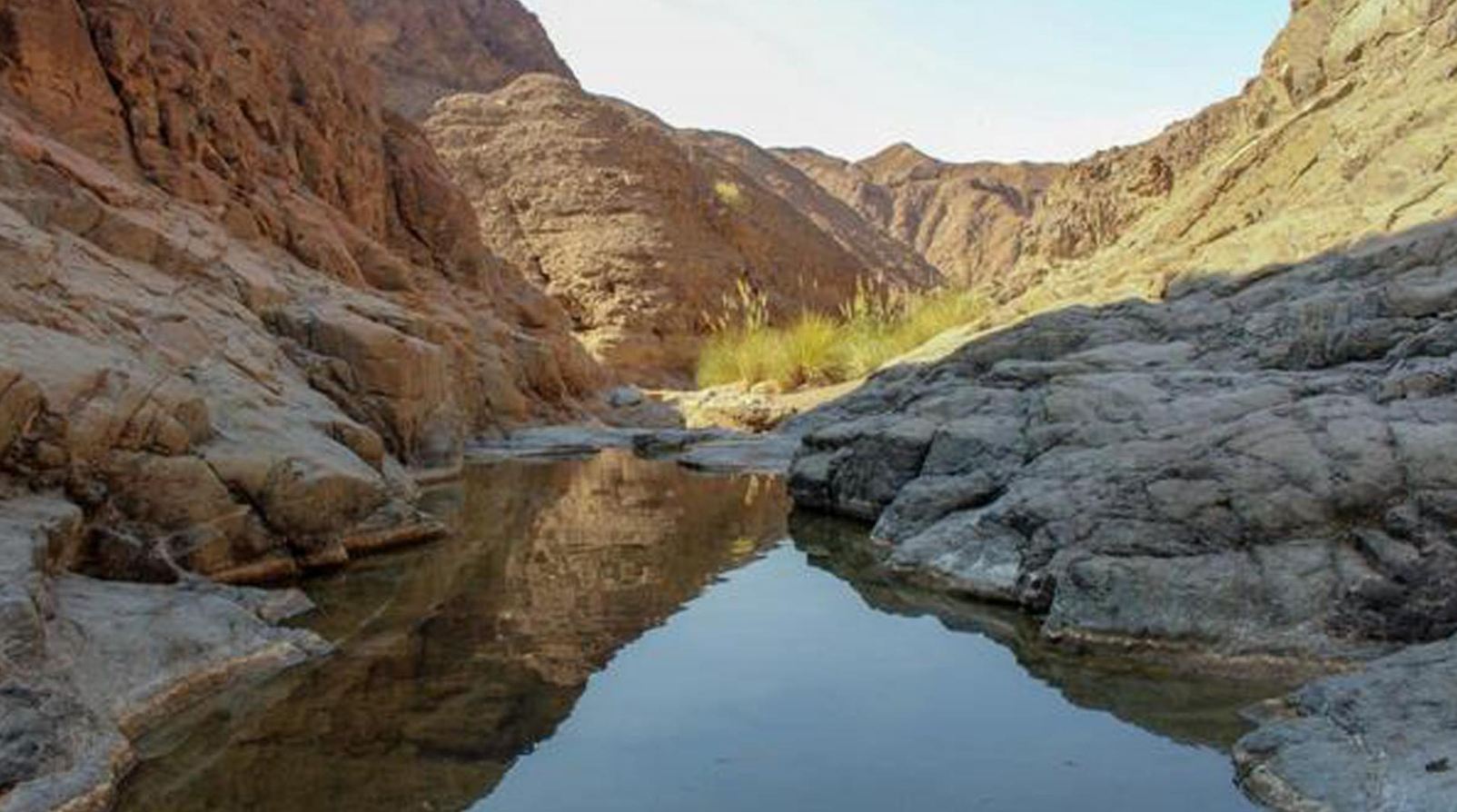 Wadi Wurayah Becomes the UAE’s First UNESCO-Listed Natural Heritage Site